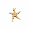 763818C01_v2_1748161631273.png