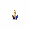 763825C01_1748161655629.png