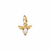 763826C01_1748161664052.png
