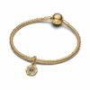 763920C01_v3_1748161745952.png