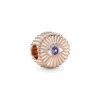 780097C01_1673796192105.png