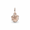 780776C01_V2_1677755725567.png