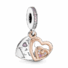 781020C01_1677755804301.png