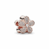 781480CZ_1661248336035.png