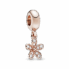 781491CZ_1661248339067.png