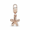 781491CZ_V2_1661168166889.png