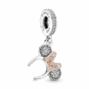 781581C01_1671494561336.png