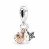 781690C01_1673881087613.png