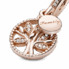 781728CZ_V4_1661070798860.png