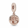 781988CZ_1661324977197.png