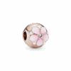 782078NBP_1661091910887.png