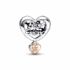 782243C00_V2_1666247953544.png