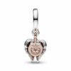 782359C01_V2_1666743277375.png