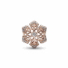 782378C01_V2_1666743329351.png