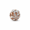 782383C01_1666743355875.png