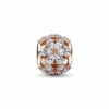 782383C01_V2_1666743358233.png