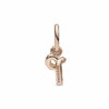782461C01_V2_1671408500909.png