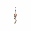 782473C01_V2_1671408629834.png