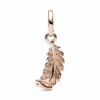 782578C01_V2_1677586970948.png