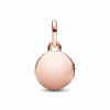 783066C01_V2.png
