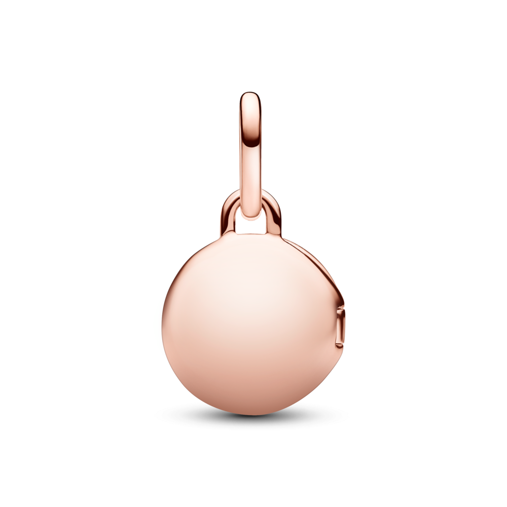 783066C01_V2.png