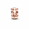 783250C01_V2_1716128350295.png