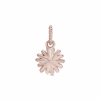 788771C01_V2_1661165926987.png