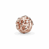 788824C01_1661348586415.png