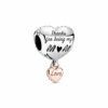 788830C00_1661166005229.png