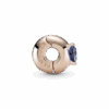 789203C02_V3_1661238670165.png