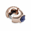 789203C02_V4_1661238673365.png