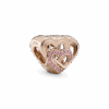 789529C01.png