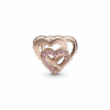 789529C01_V2.png