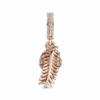789557C01_V2.png