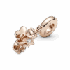 789650C01_V4.png
