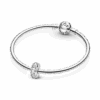 790046C01_V5.png