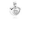 792111CZ_1661168399502.png