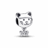 792255C01_1666248200131.png