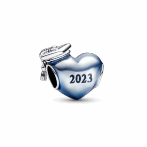 צארמ כסף כובע סיום לימודים 2023