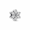 792623C01_1681171980990.png
