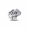 793345C01_1716128448310.png