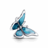 793747C01_1739318504957.png