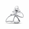 793747C01_V2_1739318507797.png