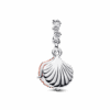 793821C01_v2_1748161800604.png