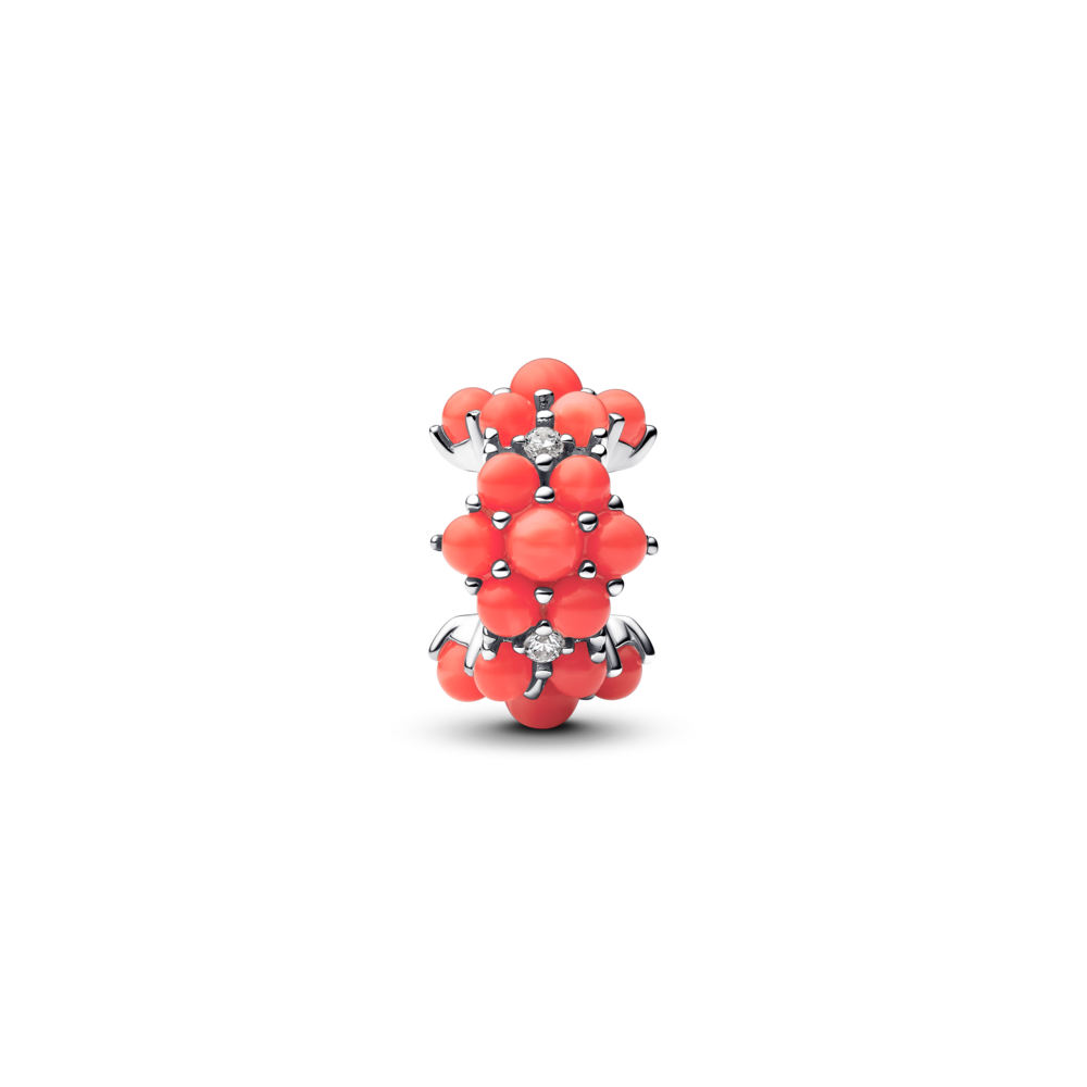 793897C01_v2_1748161887316.png