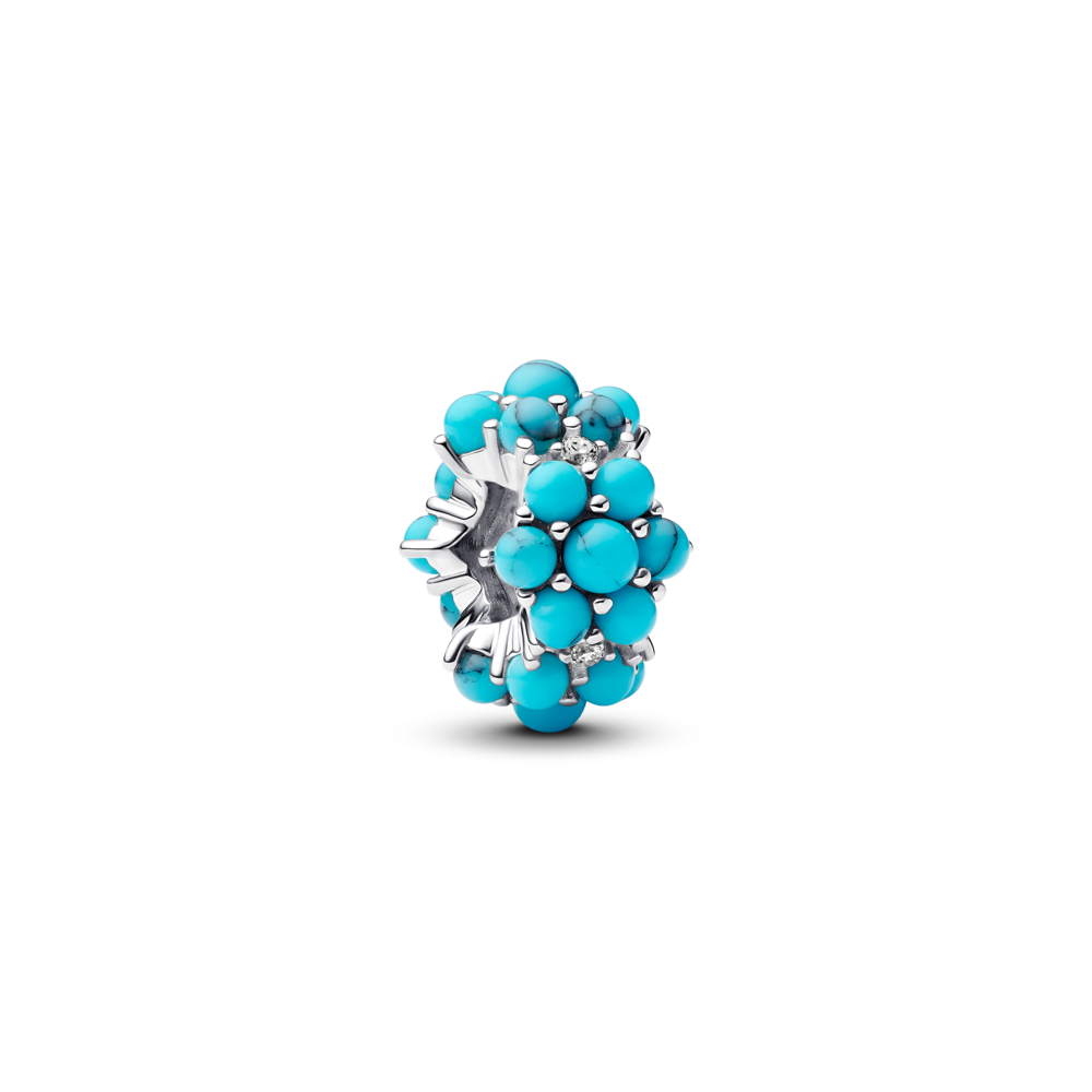 793897C02_1748161894903.png