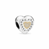 796233CZ_1661071221406.png