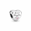 796261PCZ_1661071268237.png