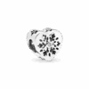 796359CZ_1661168470176.png