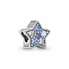 796379NSBMX_1661168543529.png